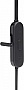 Наушники JBL Tune 125BT Black (JBLT125BTBLK) Наушники JBL Tune 125BT Black (JBLT125BTBLK)