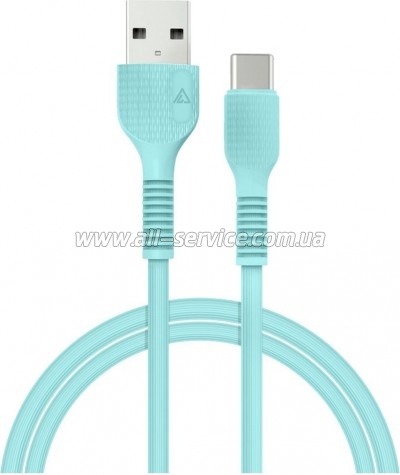 ���� ������ USB 2.0 AM to USB-C 1.2m Mint ACCLAB (1283126518256)