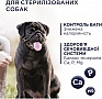     Club 4 Paws         5 (4820215367851)