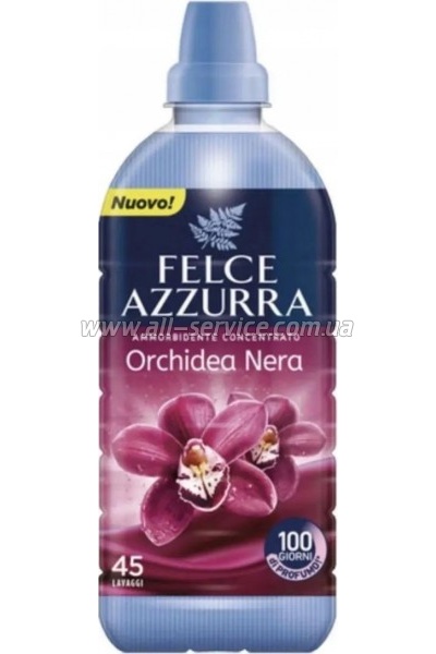    Felce Azzurra Black Orchid   900  (8001280413353)