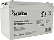 �������������� ������� Merlion 12V 100Ah (GP121000M8)