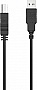    USB 2.0 AM/ BM 2.0m HP (DHC-PT100-2M)