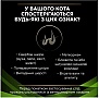 Сухой корм для кошек Purina Pro Plan Veterinary Diets Hypoallergenic 1.3кг (7613035154506) Сухой корм для кошек Purina Pro Plan Veterinary Diets Hypoallergenic 1.3кг (7613035154506)