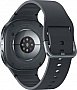- Samsung Galaxy Watch 8 40mm Gray (SM-L320NDAASEK)
