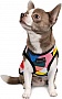  Pet Fashion Cool M  (4823082420193)