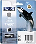  Epson SureColor SC-P600 grey (C13T76074010)