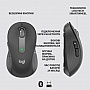  Logitech Signature M650 Wireless Graphite (910-006253)