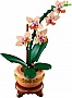 ����������� LEGO Botanicals ̳�� ������� (10343)