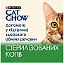 Влажный корм для кошек Purina Cat Chow Sterilised с курицей и баклажанами в желе 85г (7613037025644) Влажный корм для кошек Purina Cat Chow Sterilised с курицей и баклажанами в желе 85г (7613037025644)
