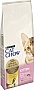     Purina Cat Chow Kitten   15  (5997204514028)