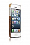  ODOYO WILD ANIMAL iPhone 5/5s Lion PH358LN