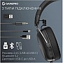 �������� GamePro Asgard Skald 4-Mode Black (HSW160B)